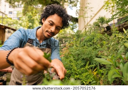 african american man taking care of plants and to prune at plant nursery Royalty-Free Stock Photo #2057052176