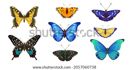 Realistic tropical butterflies. Beautiful insects with bright colorful wings. Vector illustration 