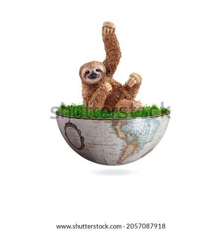International Sloth Day, world Sloth Day, Sloth Day, Sloth is on half Earth,