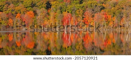Panorama of trees in fall color reflecting in a lake in northern Minnesota