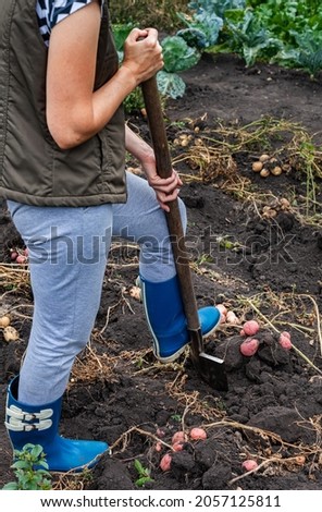 a man digs a pot with a shovel in the garden. High quality photo