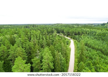 Aerial view from drone of idyllic country road leading through gallant pine and birch forests in dark green colors in cloudy rainy weather 