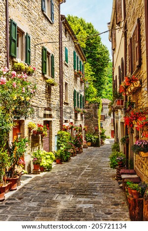 Narrow street in the old town in Italy Royalty-Free Stock Photo #205721134