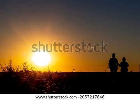Silhouette of two people walking in the field at sunset. Rural