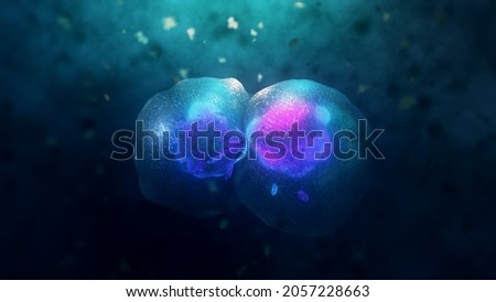 Cell division under a microscope. Cloning Cells. Cell mitosis. Royalty-Free Stock Photo #2057228663