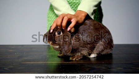 A woman is petting a rabbit