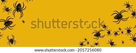 Flat lay banner of black horror spiders of different sizes directed in different directions on orange backdrop with copy space. Halloween decoration spooky background concept for holidays 