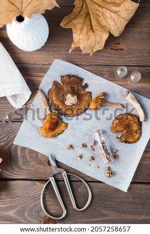 Dried chopped fly agarics stacked in a small jar and dry mushrooms on parchment and scissors on a wooden table. Microdosing and Alternative Medicine. Top  and vertical view Royalty-Free Stock Photo #2057258657
