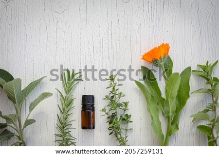 Flat lay image featuring fresh essential oil bottle with fresh herbs laid out on white wood background, sage, rosemary, thyme and orange marigold flowers