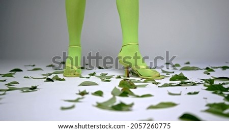 A fashion photo of foots of a woman