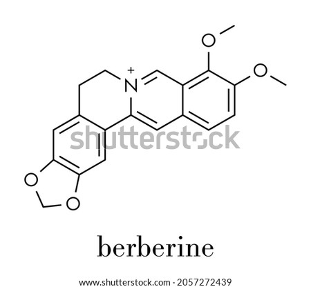 Berberine herbal medicine molecule. Skeletal formula. Royalty-Free Stock Photo #2057272439