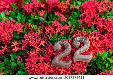 Number 22 made from wood on red West Indian Jasmine flower blooming with the green leaf background for celerbrate merry christmas and Happy new year 2022,anniversary 22 or day 2 month 2.