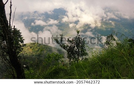 Pictures of nature tourism, mountain forests, nature trekking, Doi Lekujo, Mae Hong Son Province