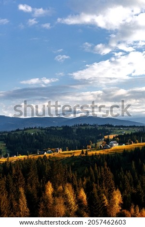 A magnificent panoramic view of the coniferous forest on the mighty Carpathians and a beautiful blue sky background. The beauty of wild virgin Ukrainian nature. 
