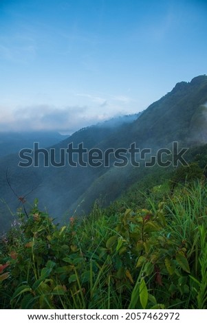Pictures of nature tourism, mountain forests, nature trekking, Doi Lekujo, Mae Hong Son Province