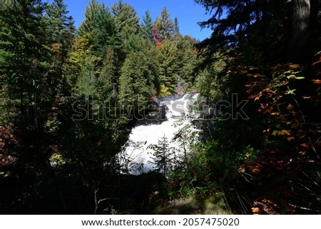 water stream in a forest rushing towards a waterfall in autumn in canada