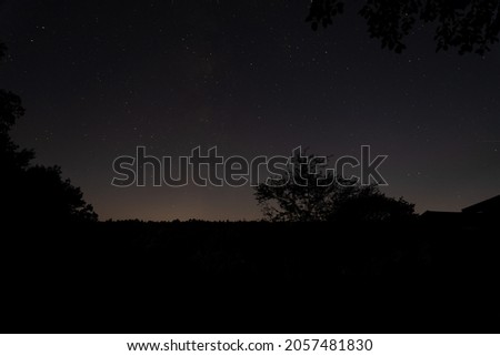 Amazing night sky with some trees in the foreground