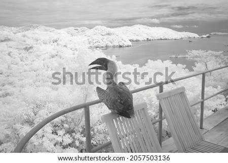 infra red photo of a toucan and the view of tugawe cove, Caramoan Peninsula, Bicol Region, Camarines Sur, Philippines