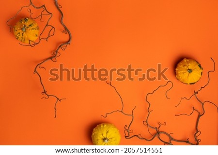 Three small decorative pumpkins and scary bare branches on bright orange background. Traditional Halloween sale mockup. Autumn season holiday composition. Festive decor. Copy space, flat lay, top view