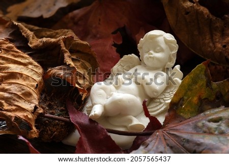lying angel on the grave, in the autumn leaves