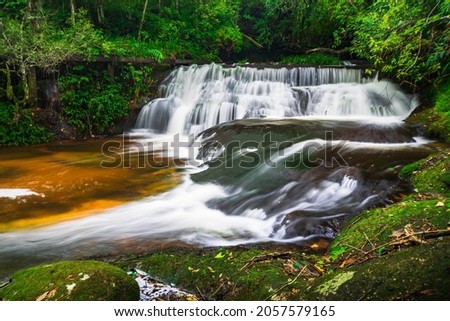 beautiful tropical rainforest waterfall in deep forest