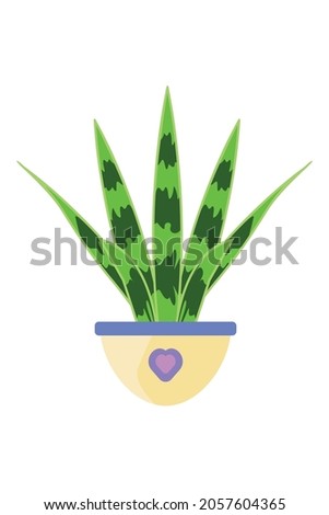 Сactus in a pot isolated on white background.  Indoor plant.  Vector illustration.