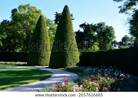 hornbeams, yews and boxwoods shaped into giant cone shapes with rounded cone-shaped tips. Tall hedges of bosquets evergreen rich colors of the French Baroque garden, blue sky