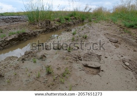 Shoe footprints and puddles on dirt road after rain Royalty-Free Stock Photo #2057651273