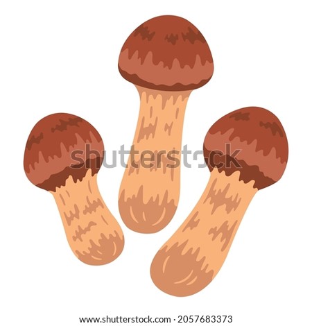 It is an illustration of Japanese matsutake mushrooms. Since it is vector art, it can be easily edited. Royalty-Free Stock Photo #2057683373