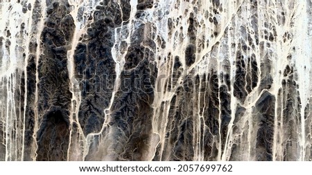 fossil forest,  abstract photography of the deserts of Africa from the air. aerial view of desert landscapes, Genre: Abstract Naturalism, from the abstract to the figurative, 
