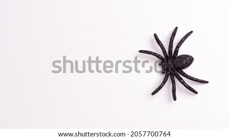 Flat lay banner of one black horror spiders on white backdrop with copy space. Halloween decoration spooky background concept for holidays.
