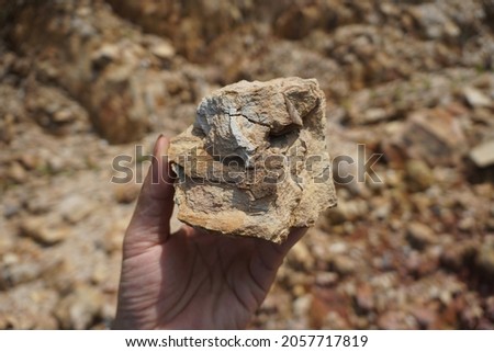 raw specimen of shale sedimentary rock in hand. Royalty-Free Stock Photo #2057717819