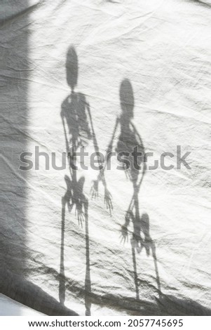 Skeleton shadow on light background. Creative minimalist Halloween or Day of the Dead concept.