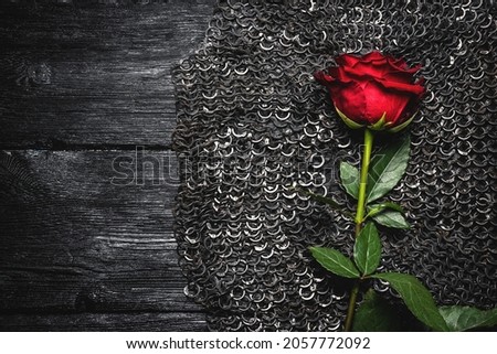 Red rose flower close up on the iron chain mail background. Royalty-Free Stock Photo #2057772092