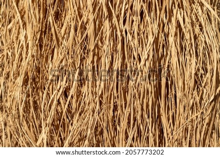 Straw texture background. Close up.