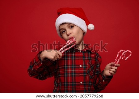 Close-up of handsome adorable boy in plaid shirt and Santa Claus hat tasting sweet sugary Christmas lollipops, striped candy canes, looks at camera posing against red background with copy space