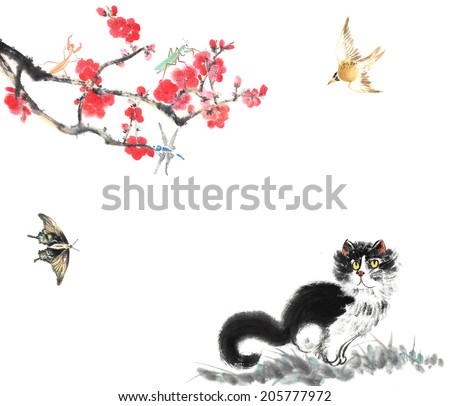 cat and plum blossom