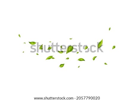 Leaf falling. Vegan, eco, organic design element. Fresh tea background. Green leaves flying on white banner. Wave foliage ornament. Beauty product. Cosmetic pattern border. Vector illustration. Royalty-Free Stock Photo #2057790020