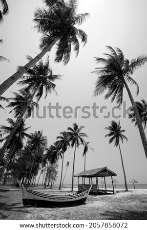 Peaceful scenery of coconut tree ,palm tree near the sea. located at Terengganu, Malaysia. black and white photo. Royalty-Free Stock Photo #2057858072