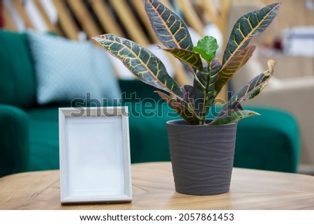 Empty photo frame and flower in a flowerpot on the table.