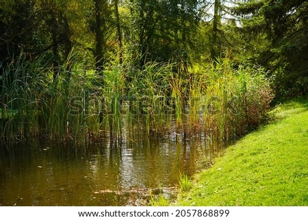 Amazing  autumn landscape - small pond in the autumn park - A beautiful autumn day - colorful  autumn