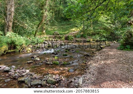Long exposure of the Horner Water river flowing through Horner woods in Somerset
