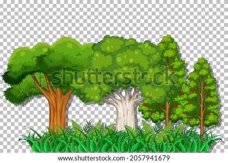 Tree on transparent background illustration