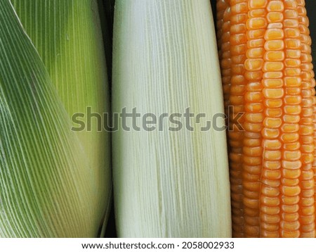 pictures of natural beauty corn