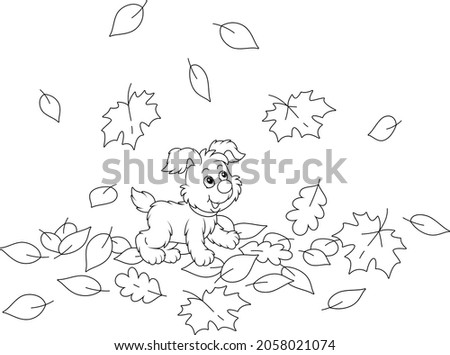 Cute little puppy walking on fallen autumn leaves around a park, black and white outline vector cartoon illustration for a coloring book page