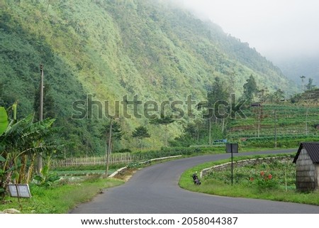 paved road on the slopes of a mountain, in the Wonosobo area of ​​Central Java, Indonesia