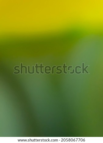 Defocused abstract background of  colored object taken close up