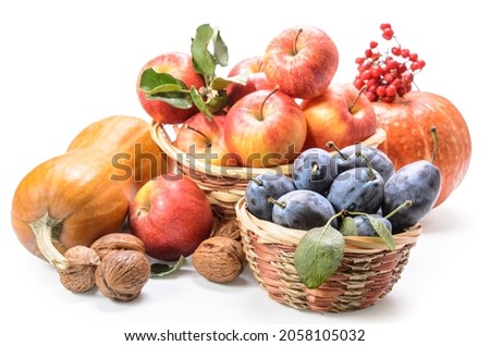 apples in a basket and other fruits on a white background with soft shadow