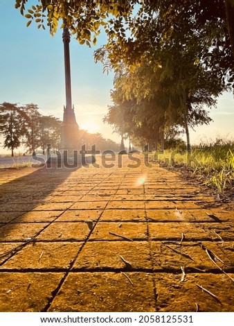 Brown brick footpath with tree and blue sky in morning light