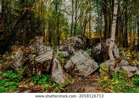 karelia russia autumn  woods forest
